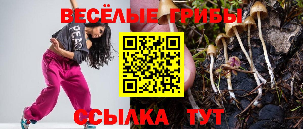 Галлюциногенные грибы прущие грибы Соликамск